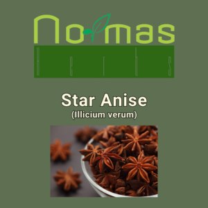 Star Anise (Illicium verum)