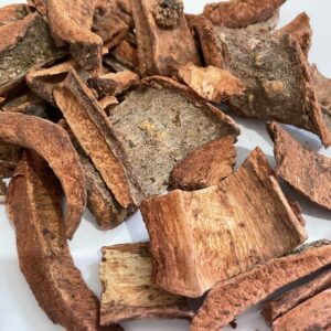 Cuachalalate Bark (Ampbypteryngium adstingens)