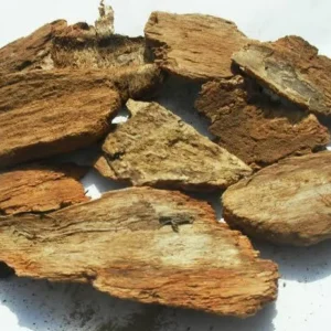 Yohimbe Bark (Pausinystalia johimbe)