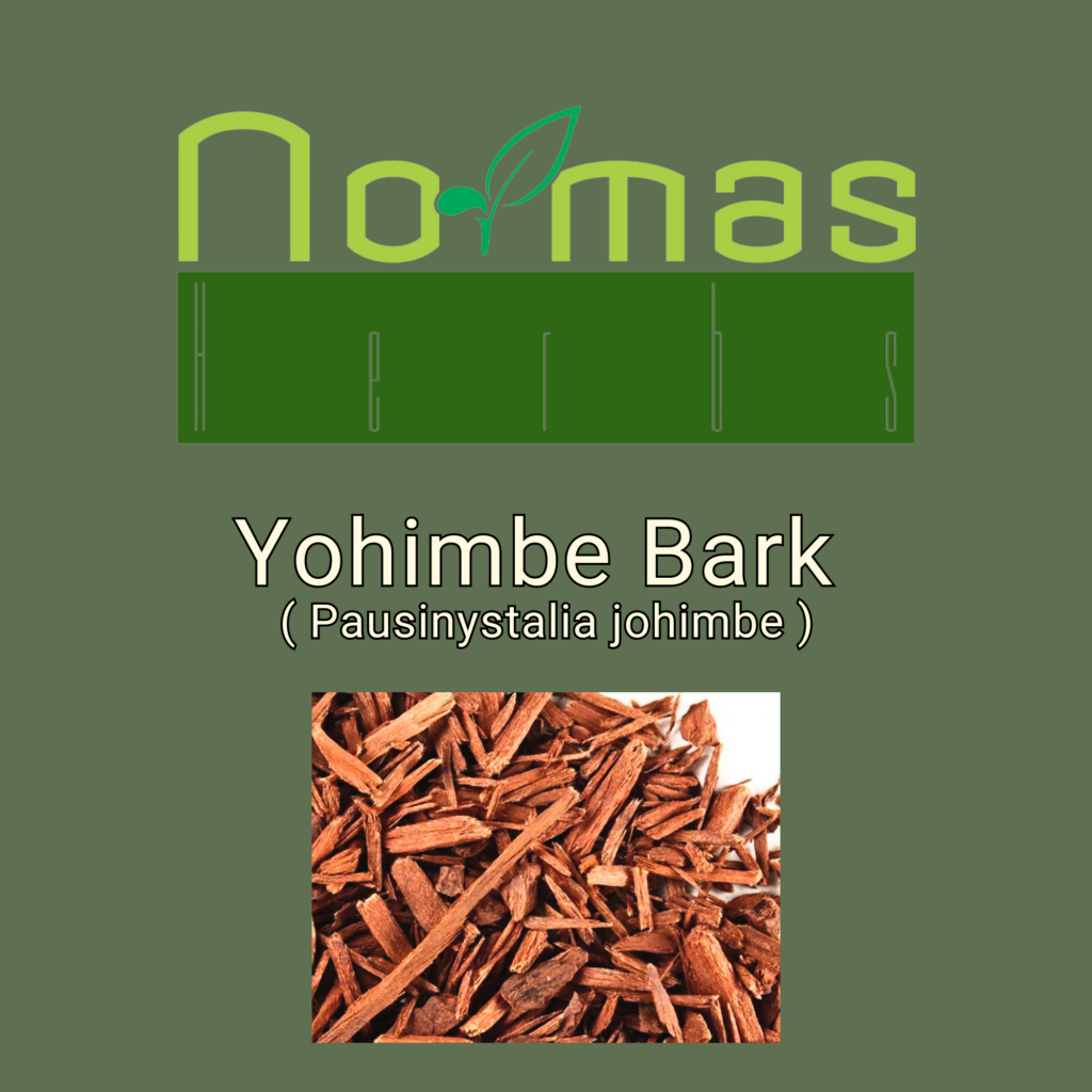 Yohimbe Bark (Pausinystalia johimbe) | NormasHerbs.com