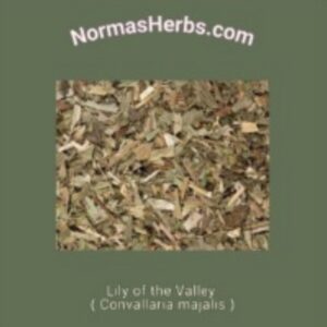 Lily of the Valley ( Convallaria majalis )