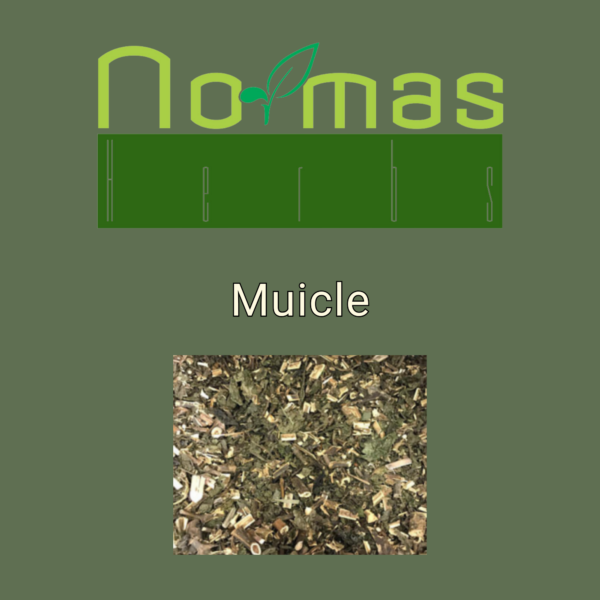 Muicle