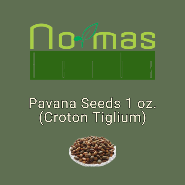 Pavana Seeds