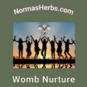 Womb Nurture Package