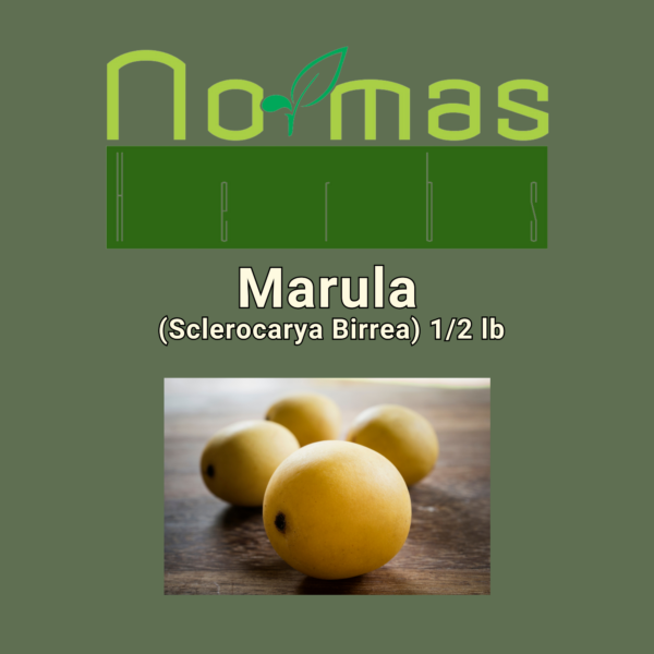 Marula (Sclerocarya Birrea) 12 lb