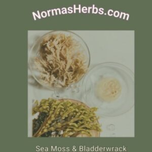 Sea Moss & Bladderwrack Capsules