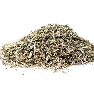 Blue Vervain