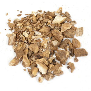 Burdock Root