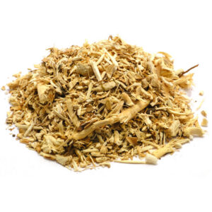 Hydrangea Root ( Hydrangea arborescens )