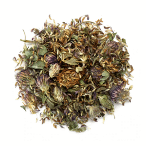 Red Clover Herb ( Trifolium pratense )