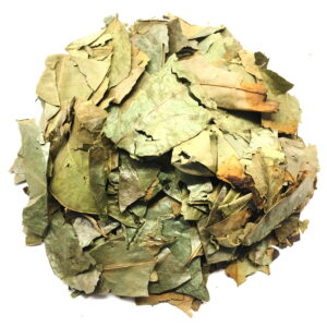 Soursop Leaves