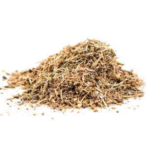 White Oak Bark ( Quercus alba )